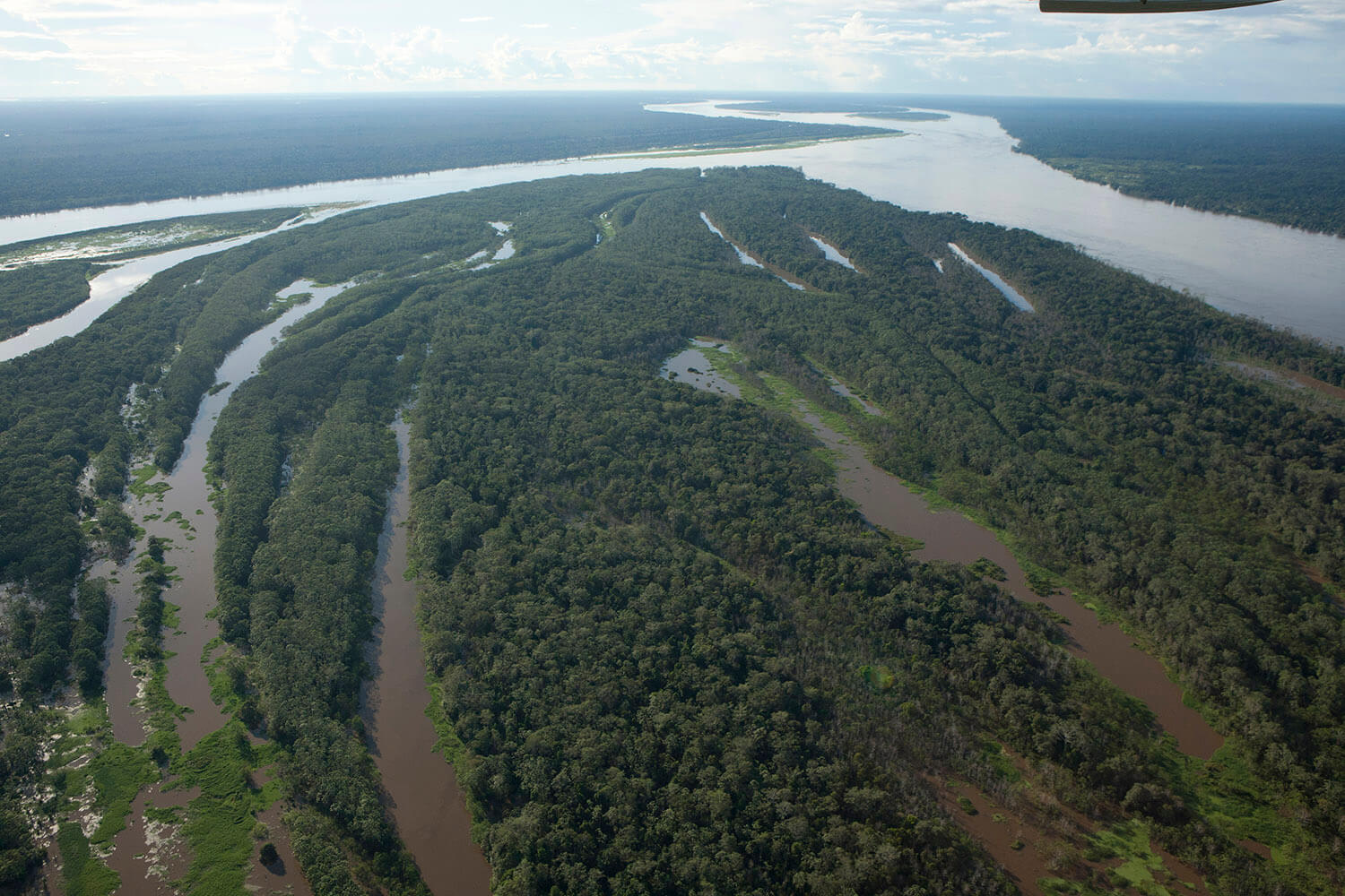 5AMAZONAS slider 5_MG_4447.jpg